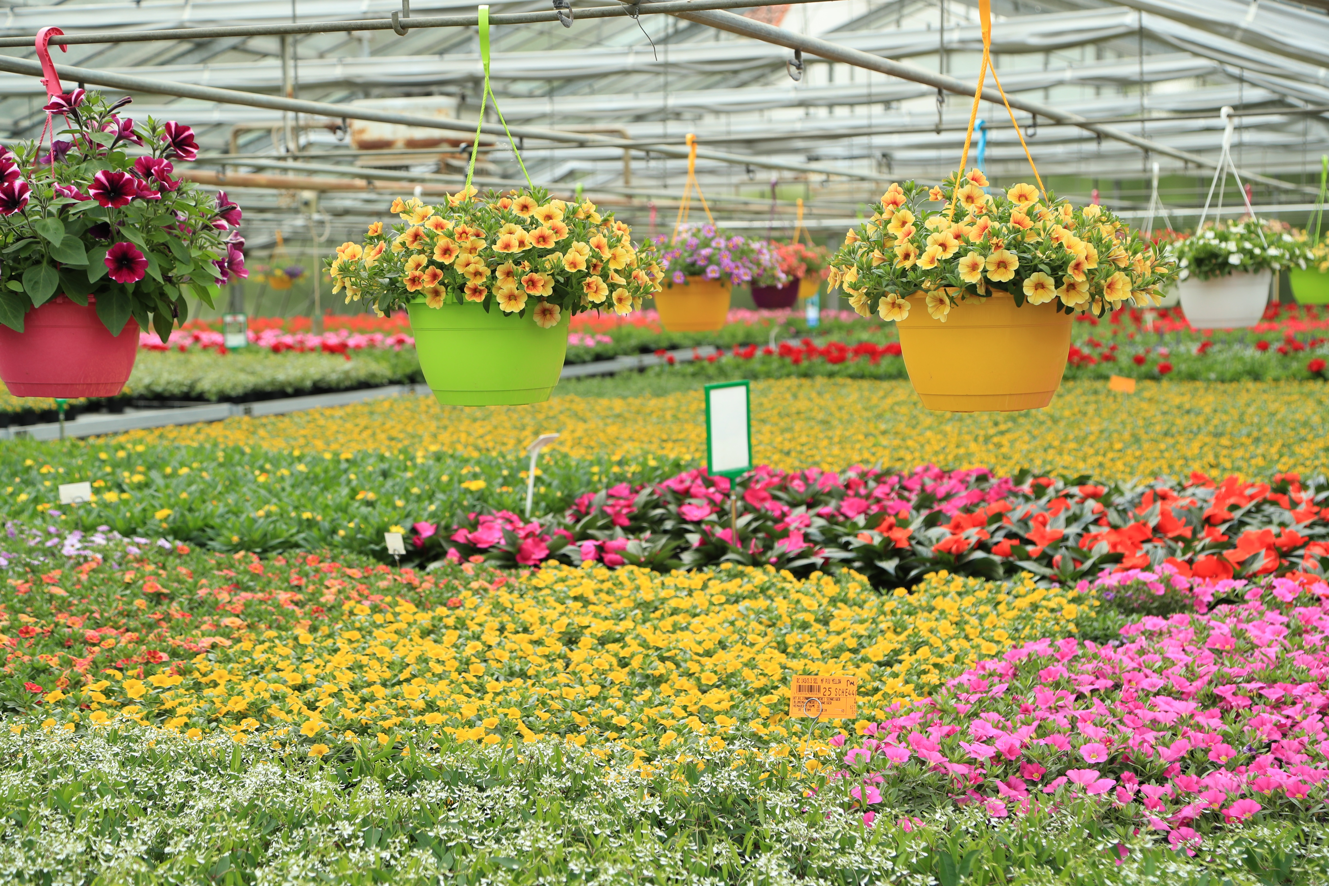 Blumengärtnerei Schweiger