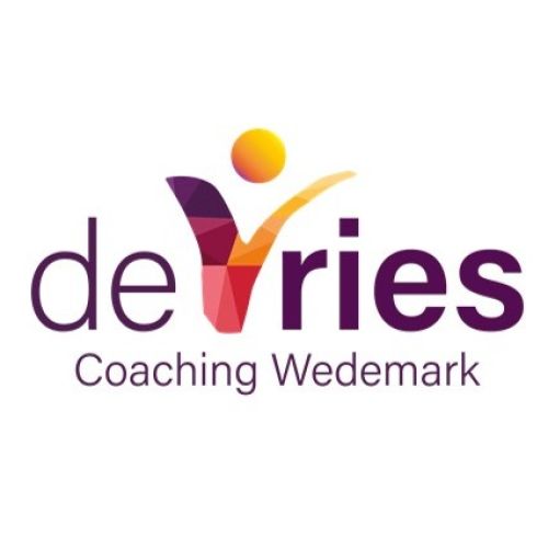 de Vries Coaching Wedemark logo