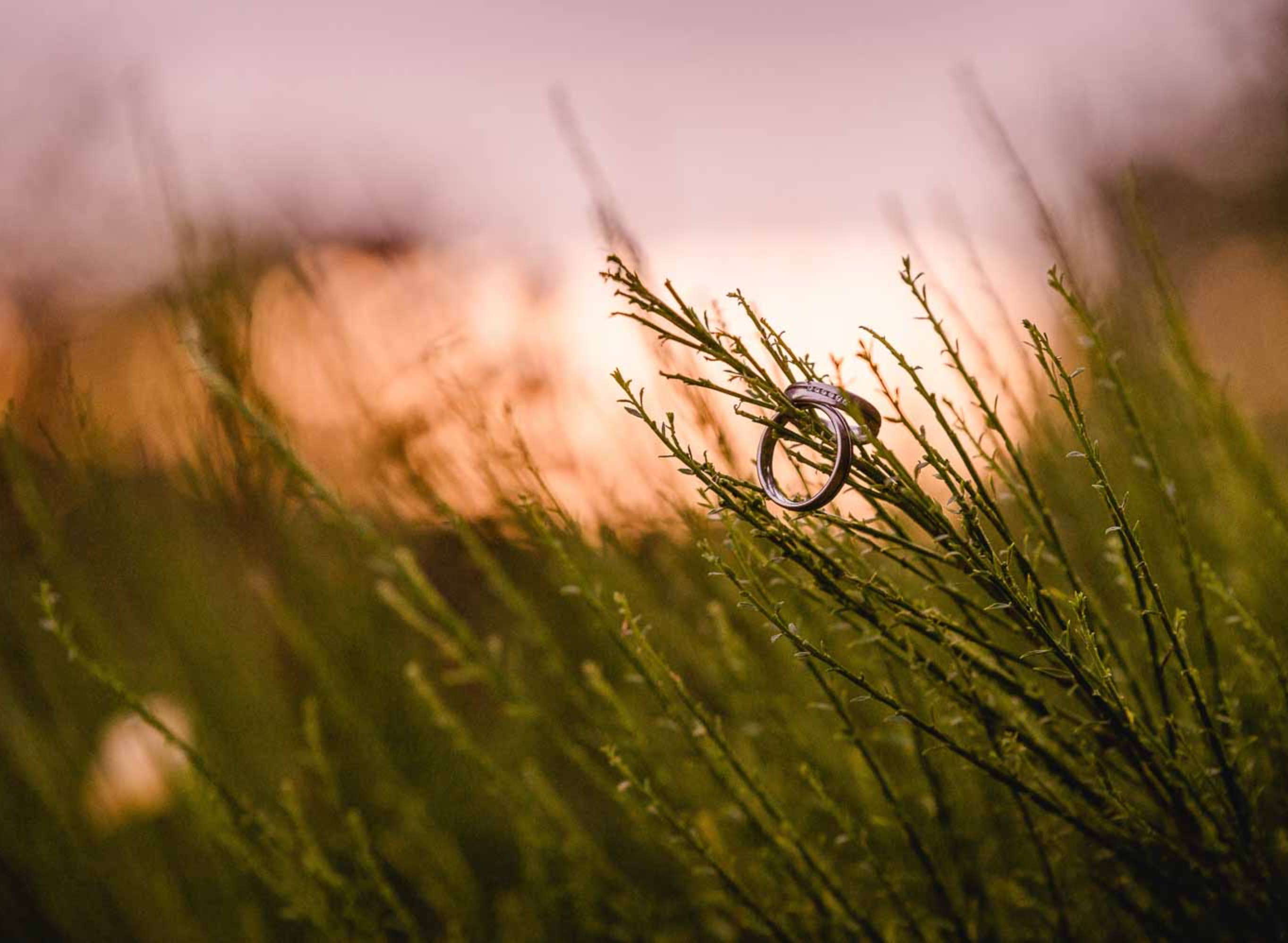 Anja Krietenbrink Photography - aks foto+design