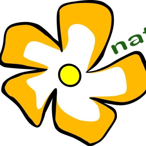 Blumenstüble logo