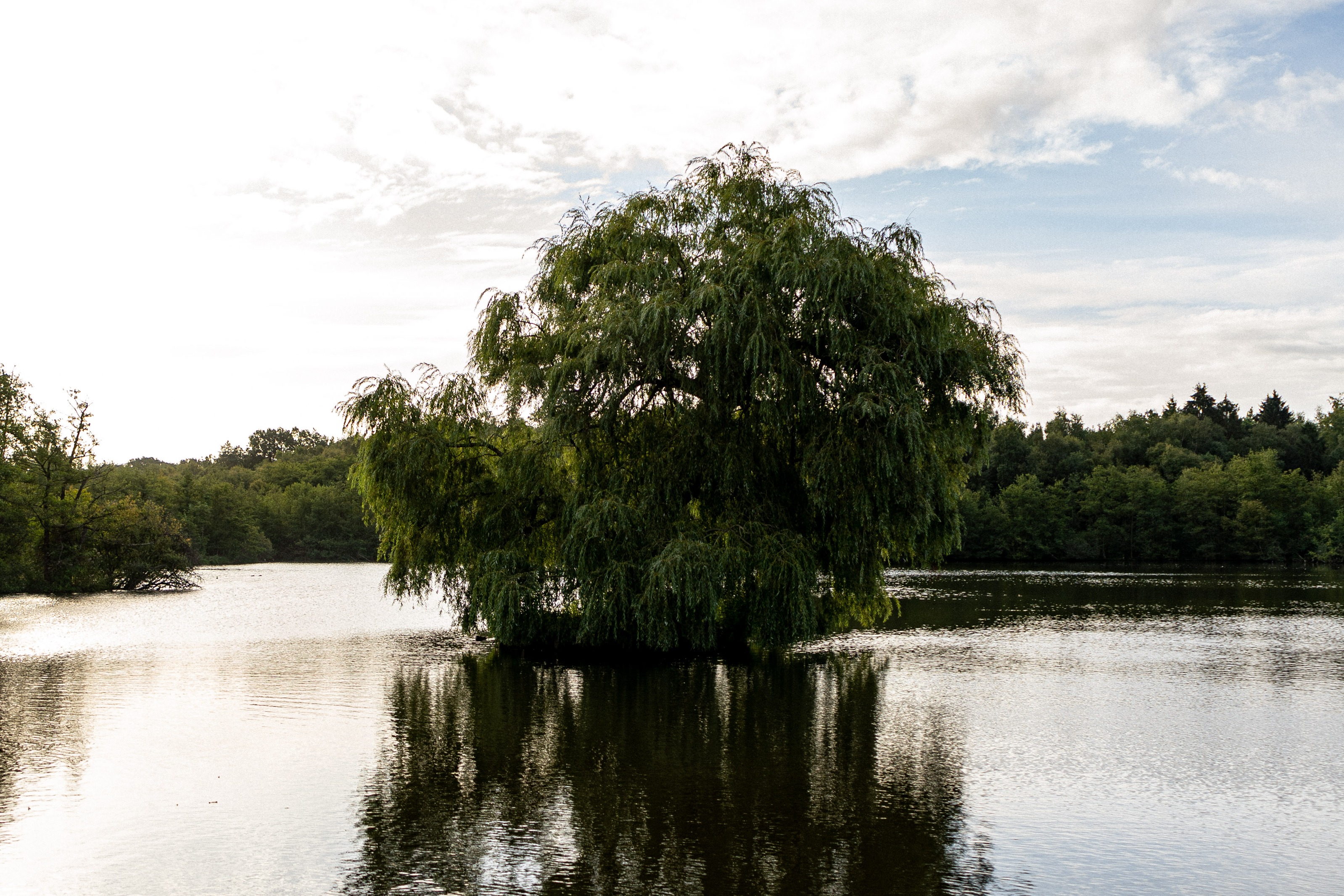 Holtmühle - Café am See