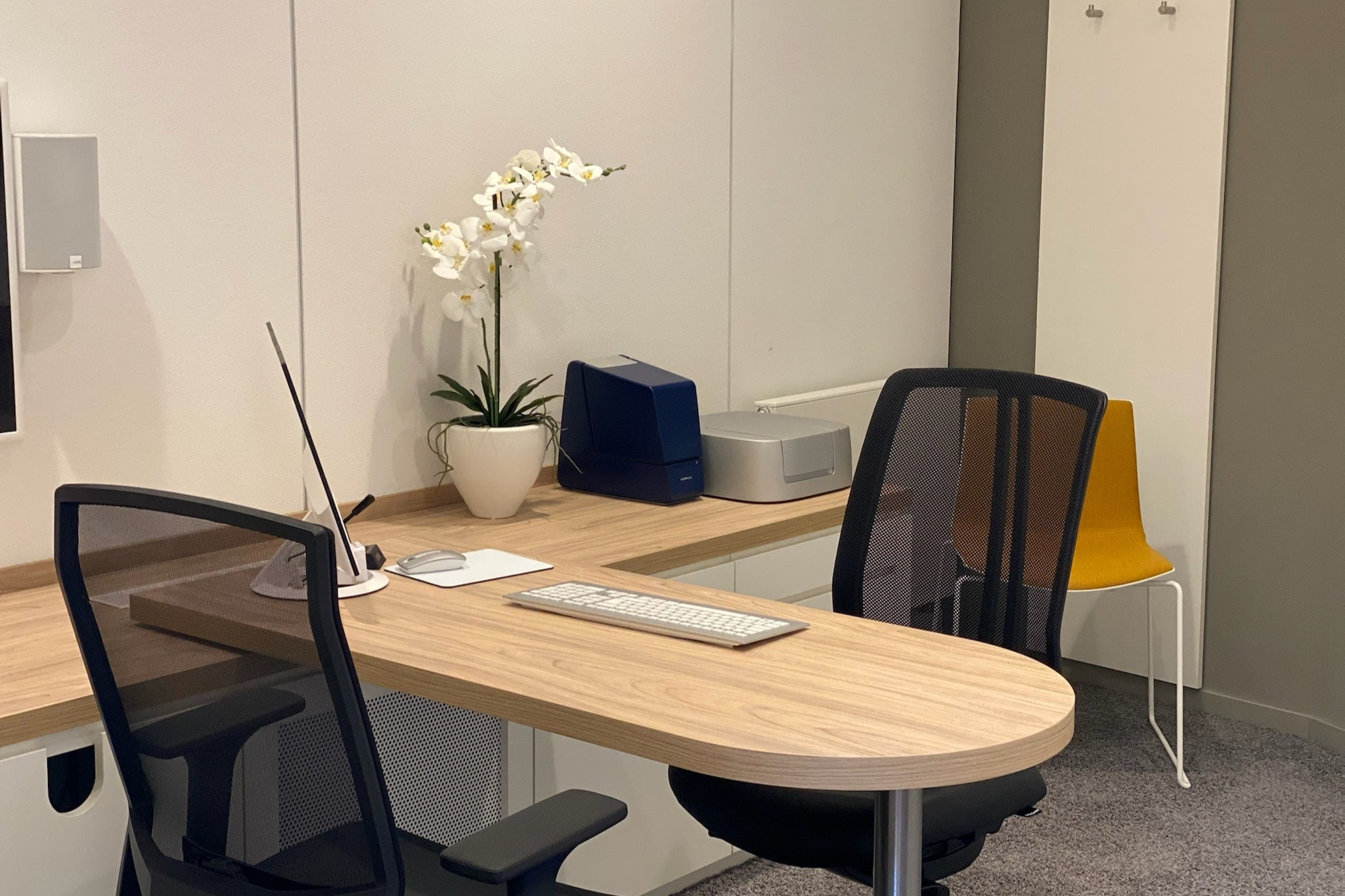 Neusehland Hartmann GmbH & CO KG