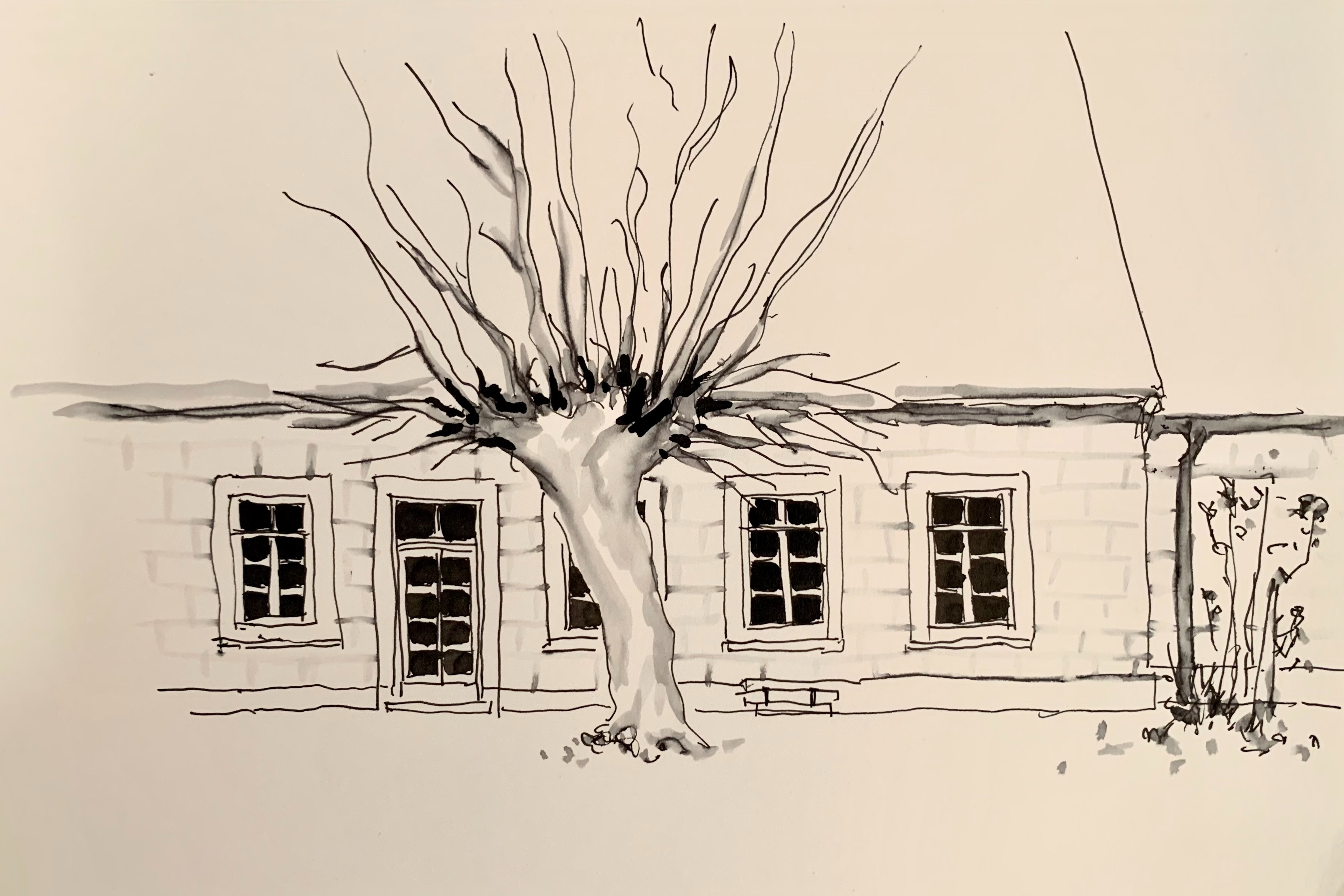 Atelierhaus Lydia Drontmann