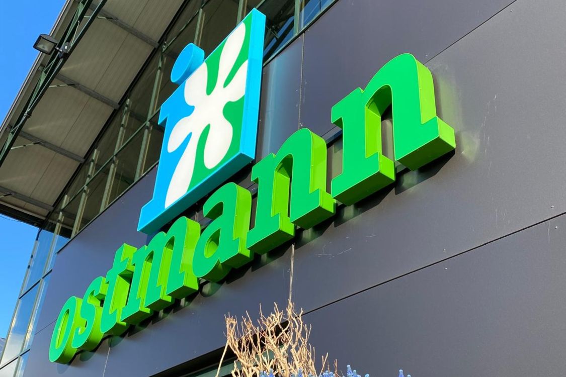Blumen Ostmann title image