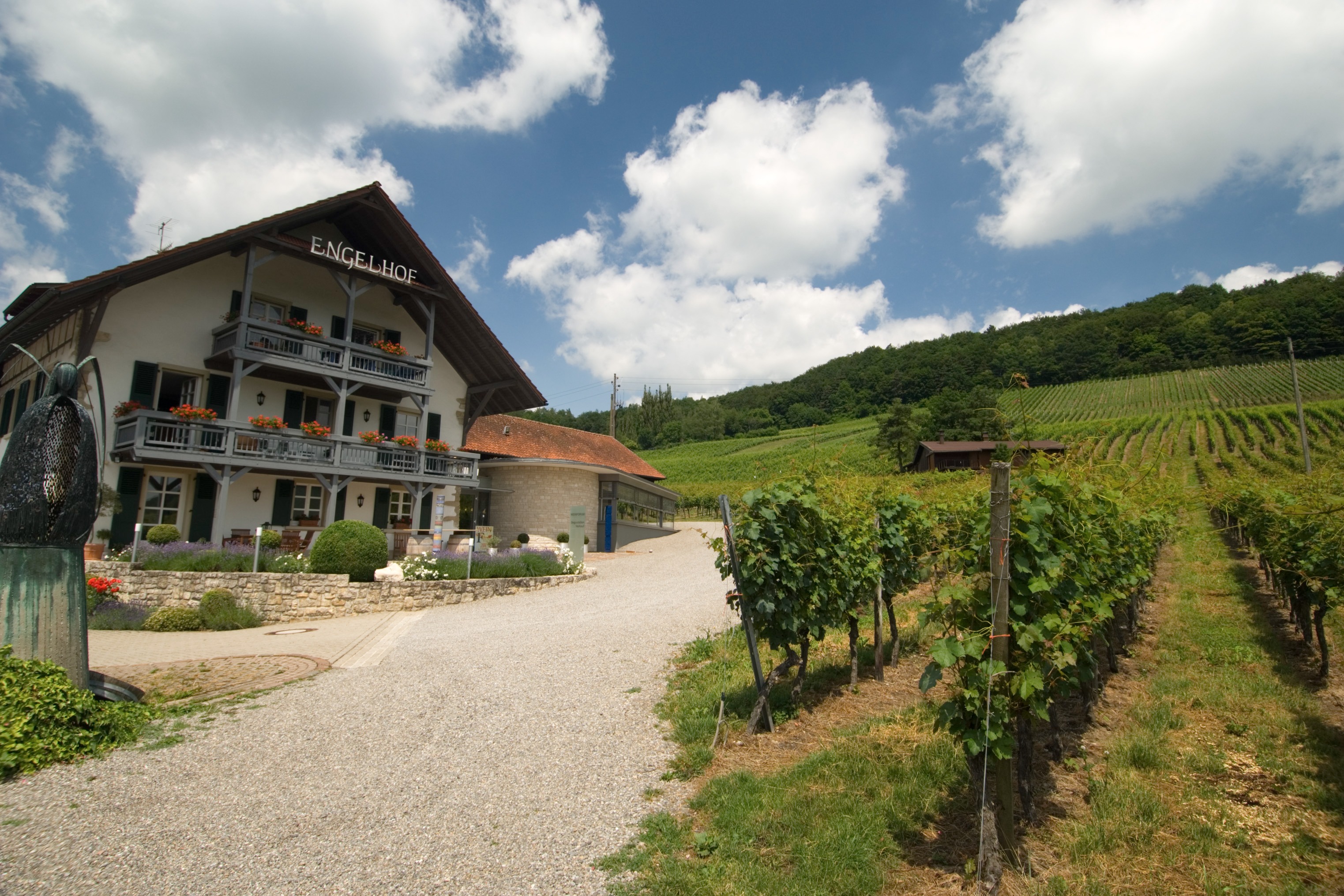 Weingut Engelhof Gebr. Netzhammer