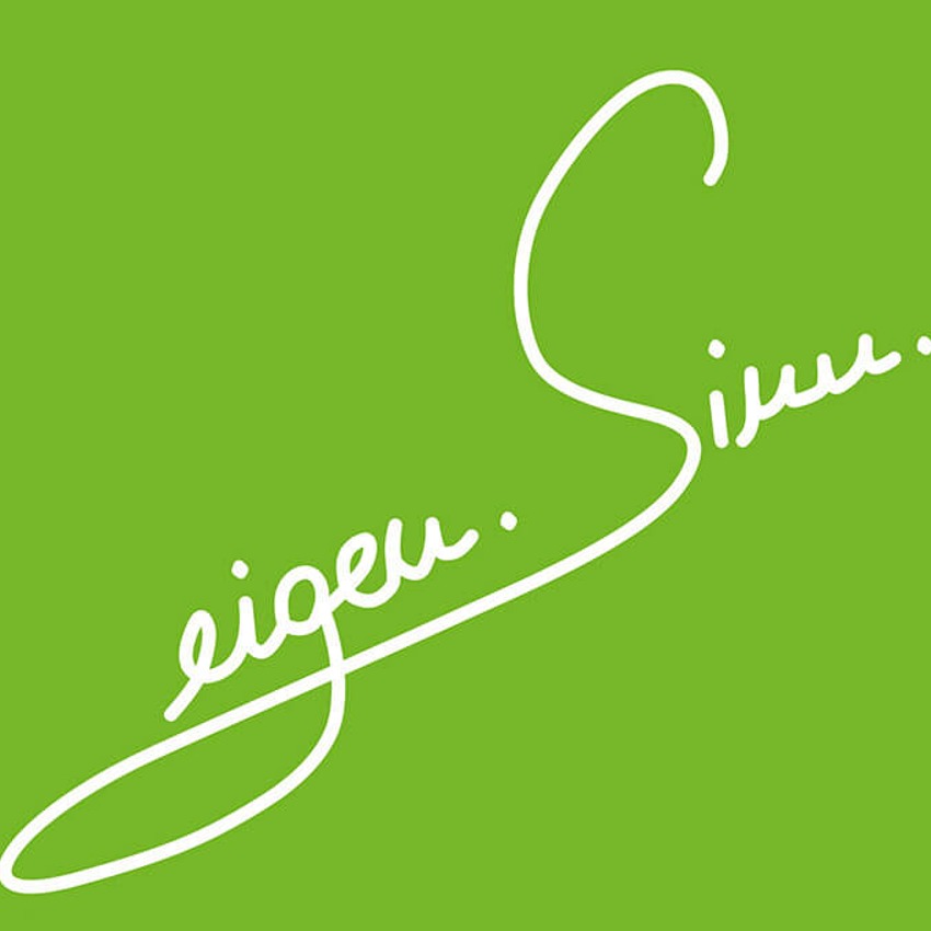 eigen.Sinn Logo