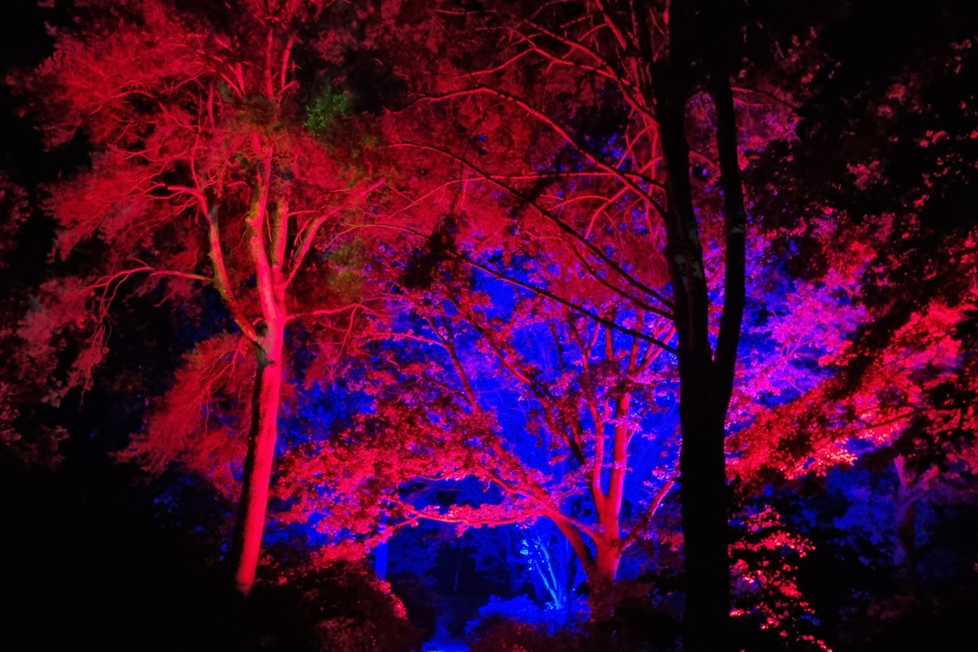 d.c.o. EVENT Support