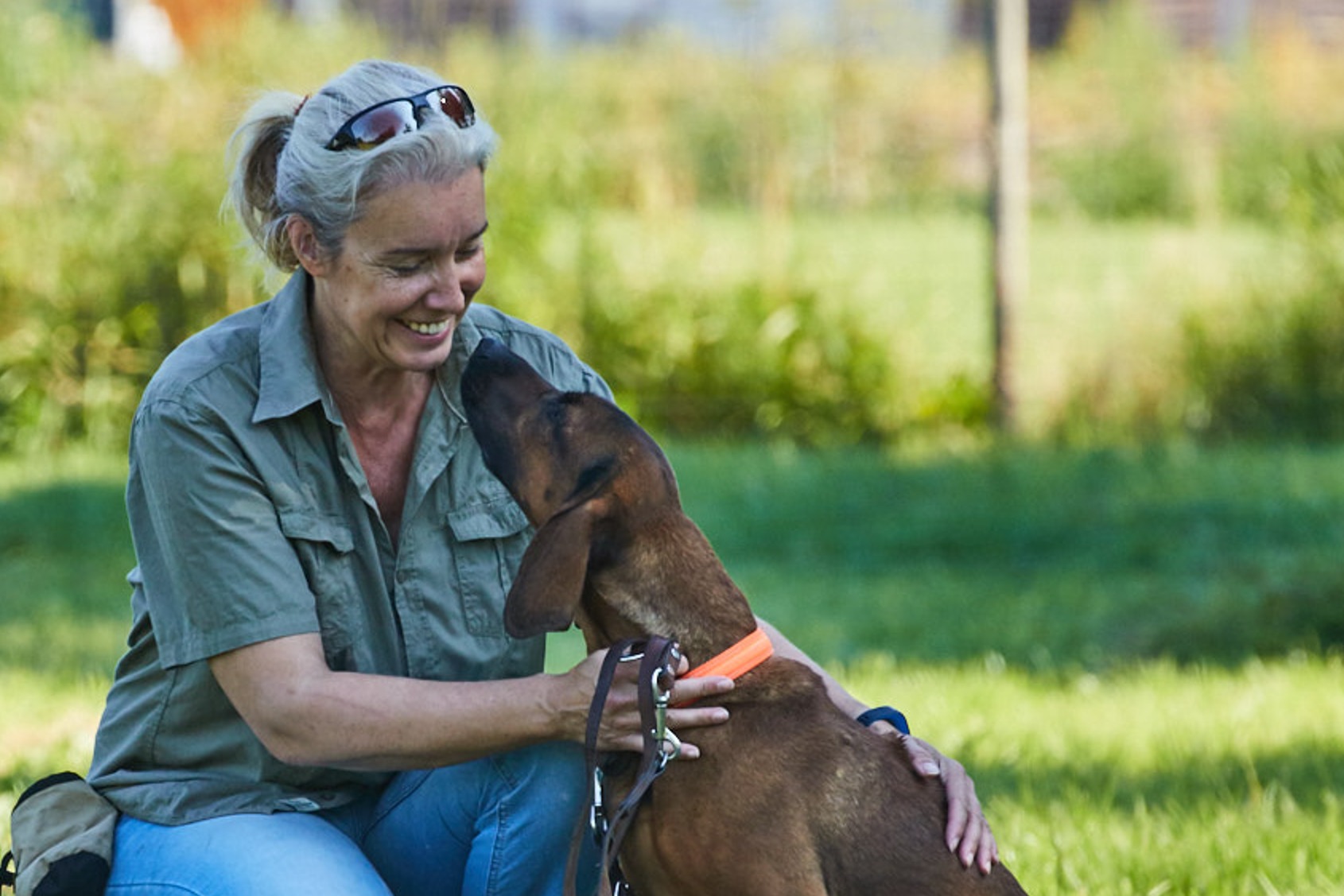 Dogscode Arbeits- und Jagdhundeschule (savee GmbH)