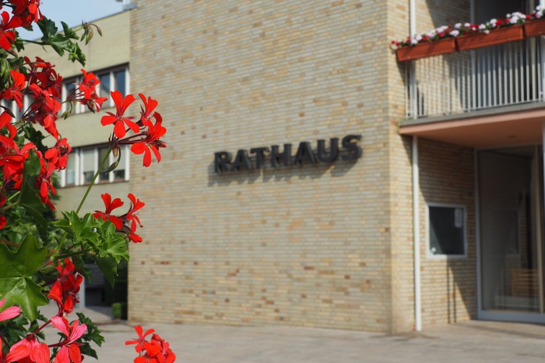 Rathaus Stadt Stein title image