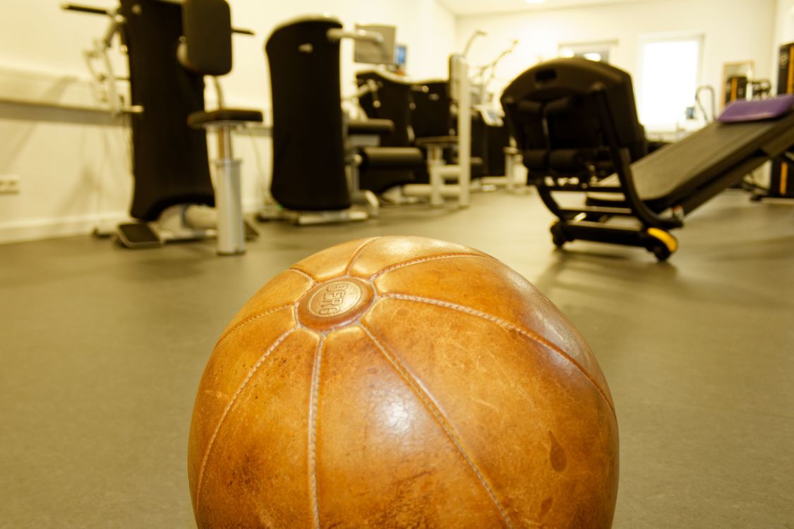 physio+plus title image
