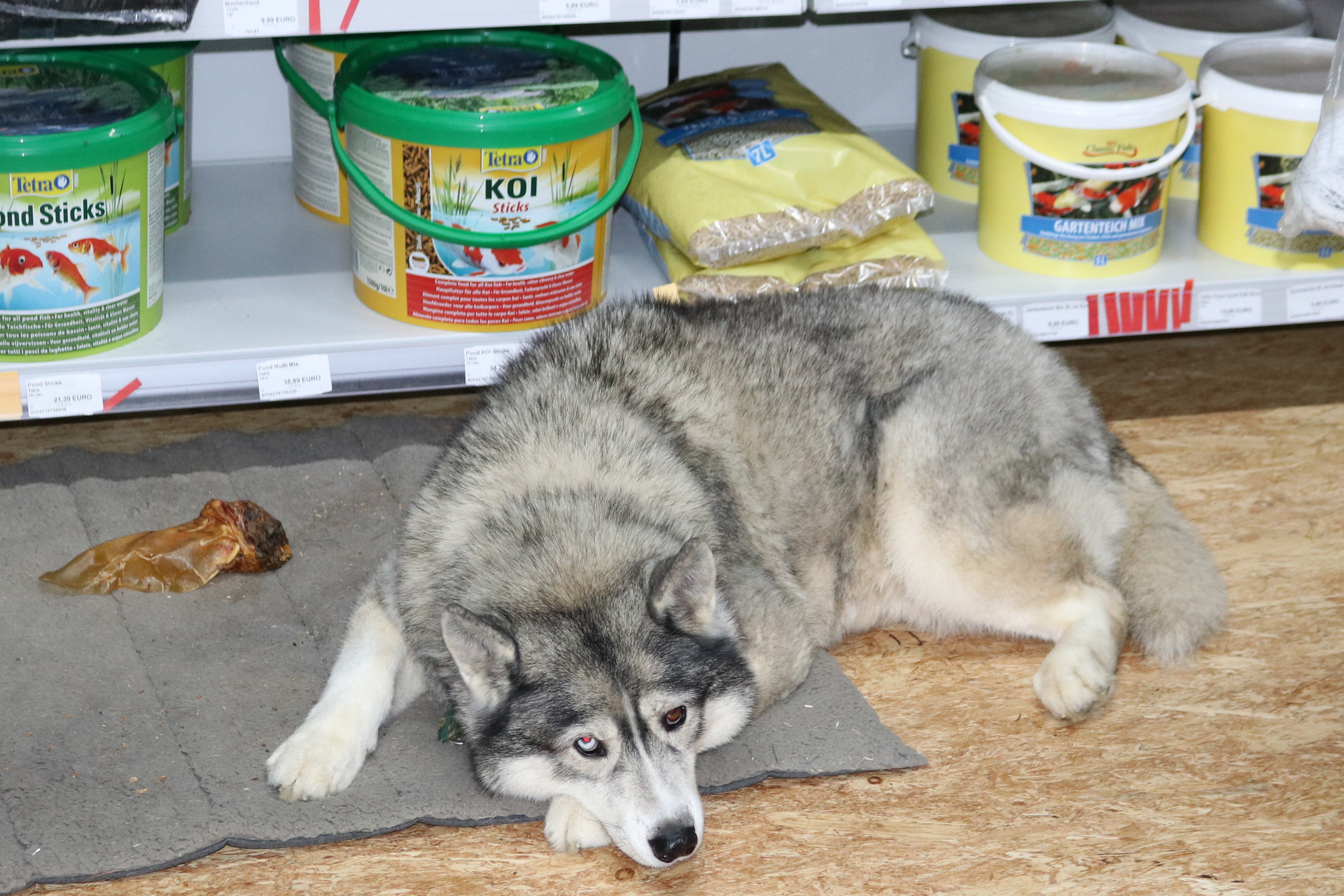 Die Futterkiste Nassau ist Dauerhaft geschlossen, besuchen Sie uns in Nastätten