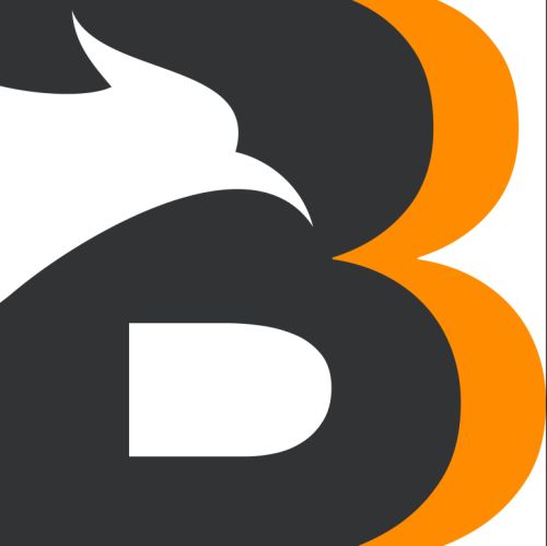 BLACKBIRD SOLUTION logo