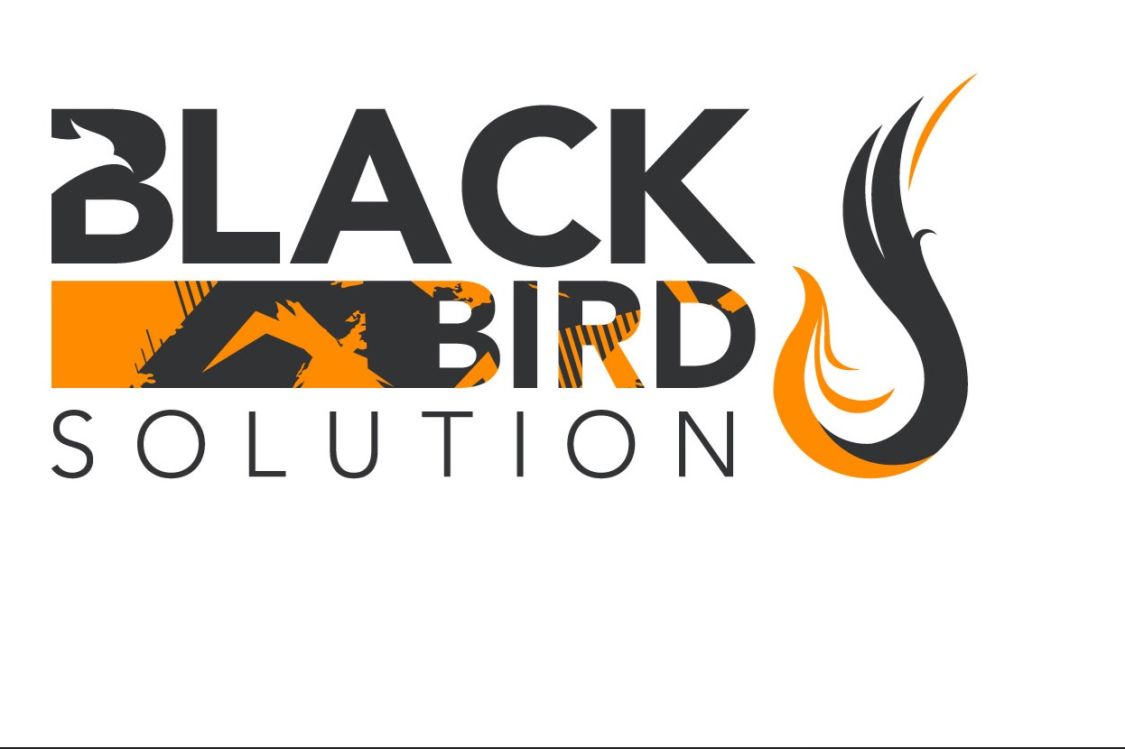 BLACKBIRD SOLUTION title image