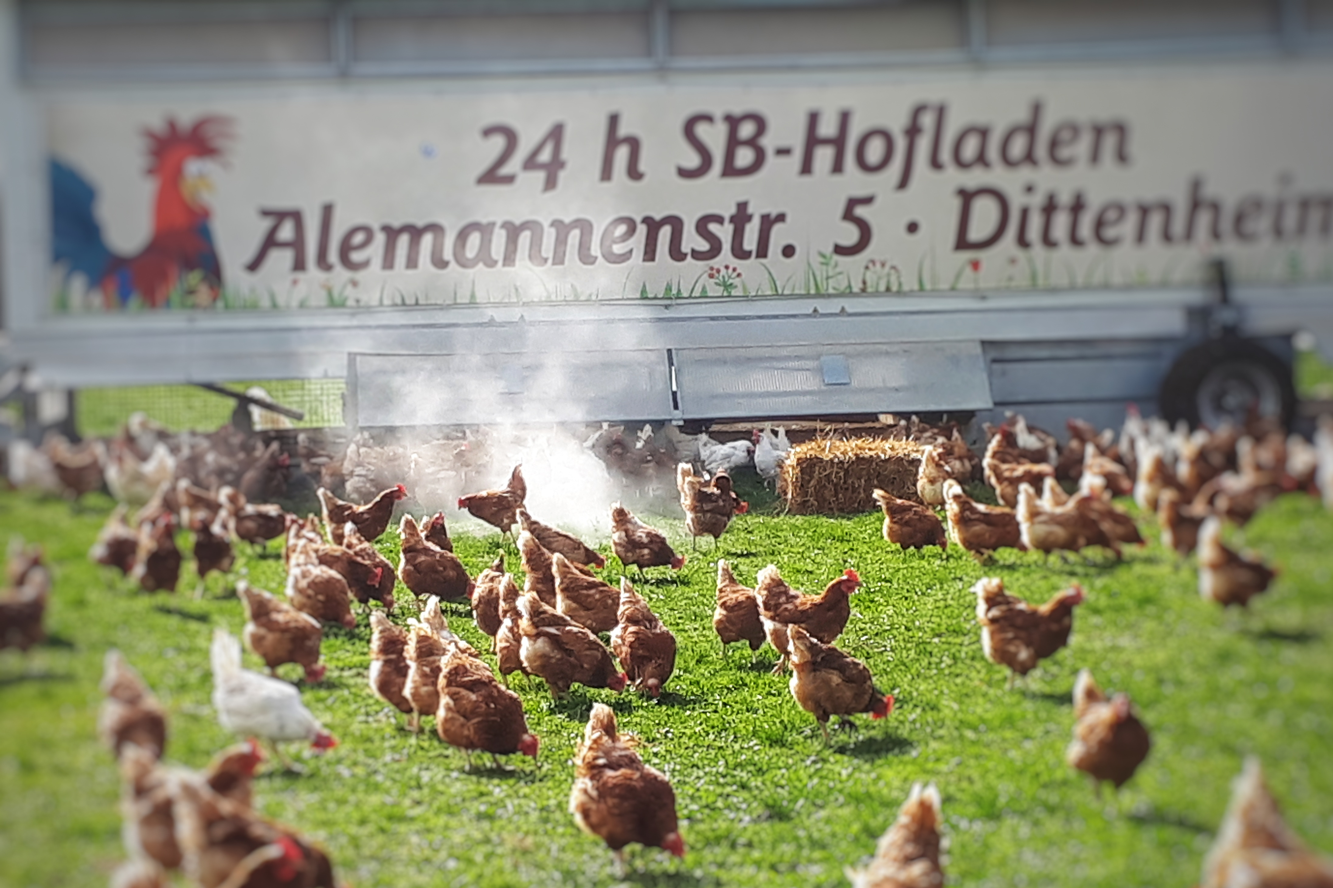 Altmühltaler Wiesen Ei