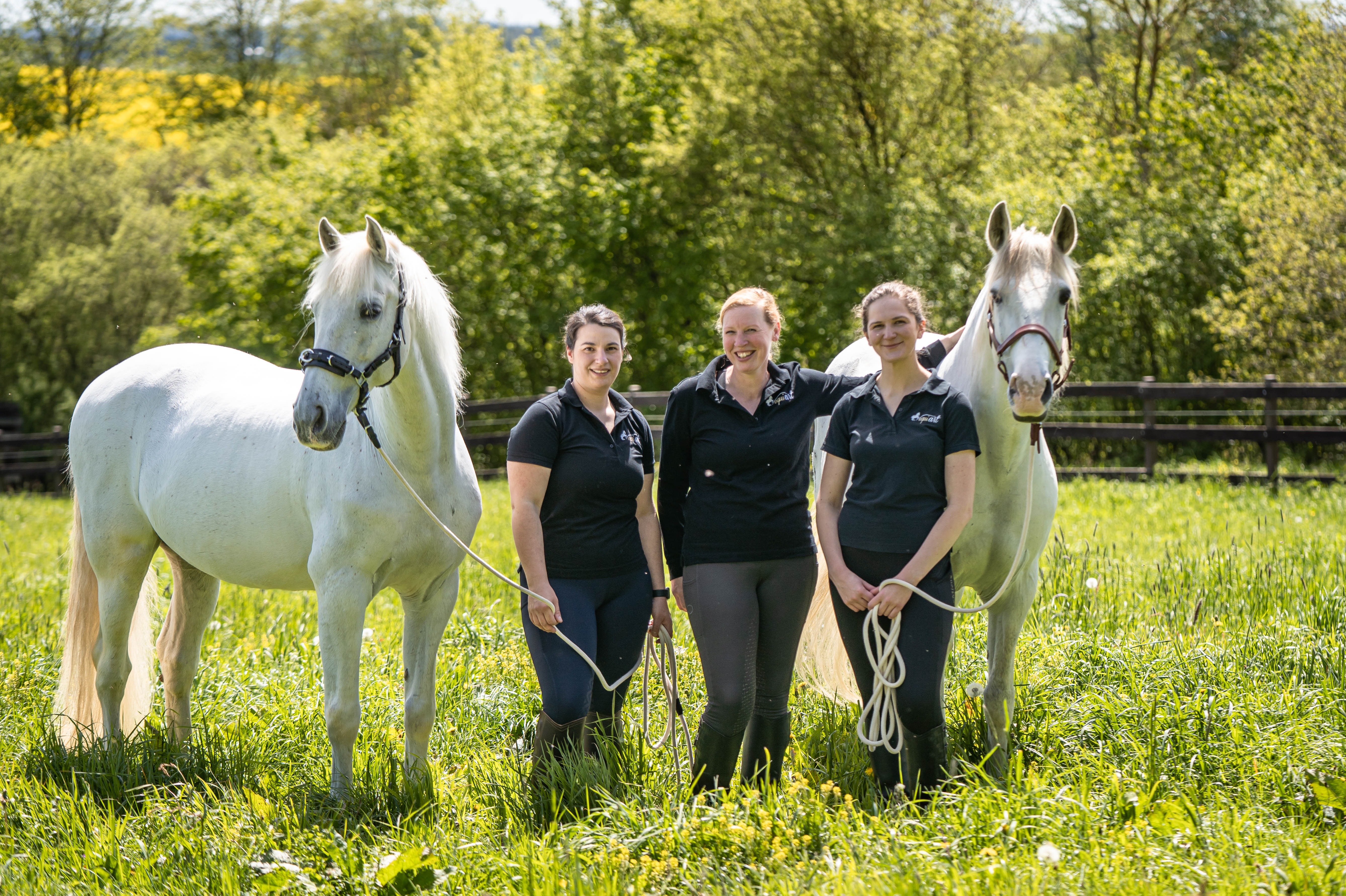 equi-art Reitkunst GmbH und equi-art Shop & STORE