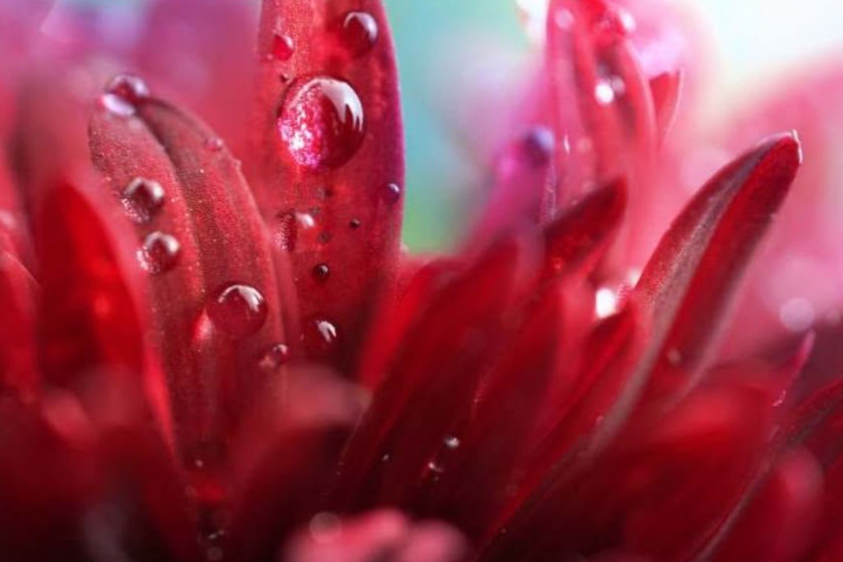 Skin Spa . Zeit für Schönheit