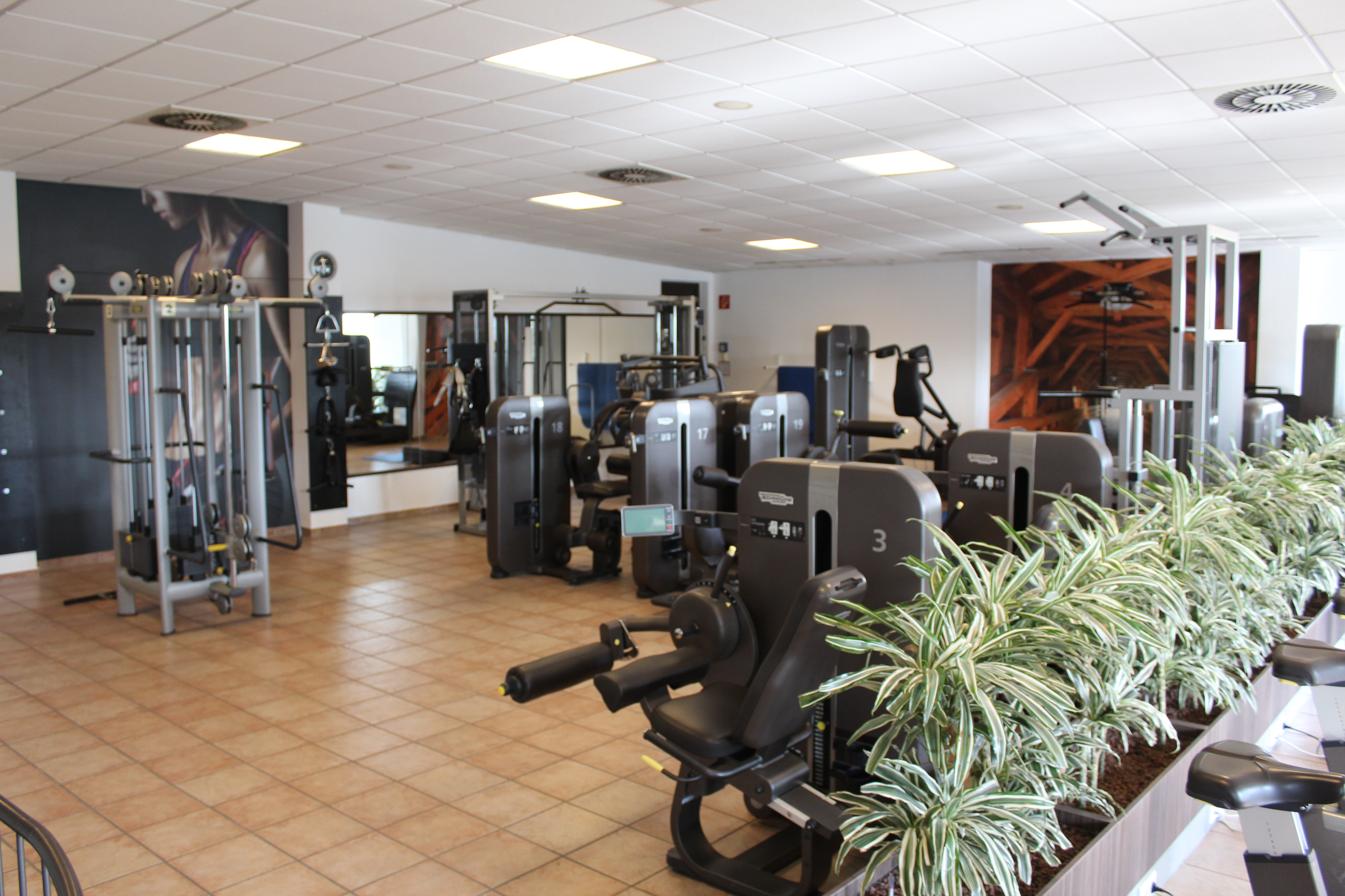 MFitness GmbH Geseke
