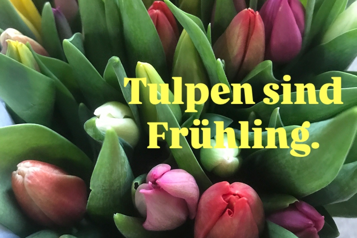 Blumeninsel Eichstädt