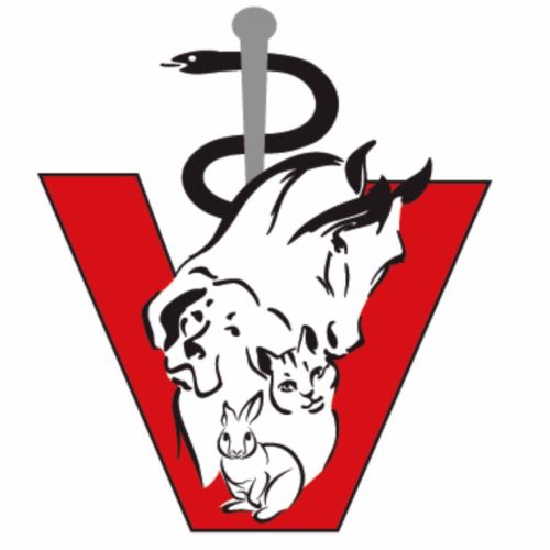 Tierarztpraxis Dötlingen logo